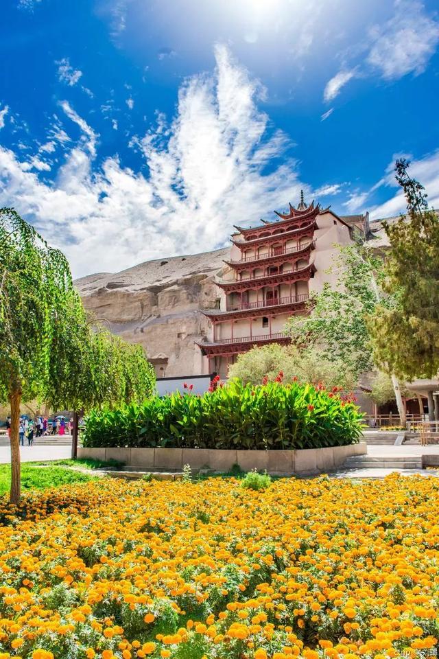 甘肃，友情与陪伴的温馨日常故事